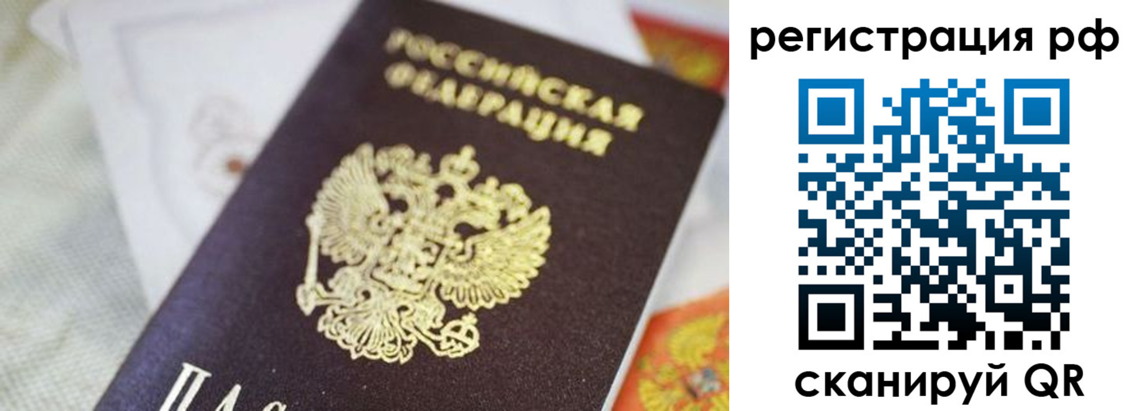 прописка гарантия в Мончегорске